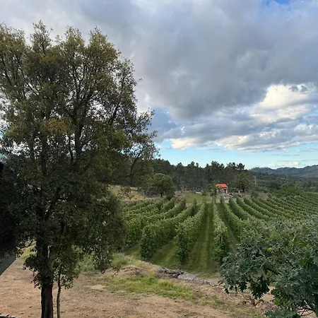 Villa Quinta Da Cabrida - Casa Dos Senhores - Douro Tabuaço