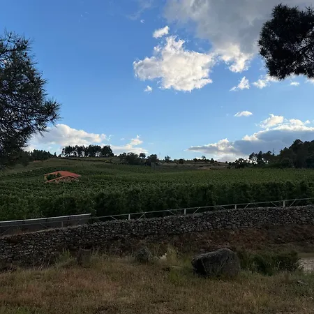 Quinta Da Cabrida - Casa Dos Senhores - Douro * Tabuaço