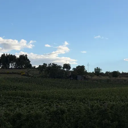 Quinta Da Cabrida - Casa Dos Senhores - Douro Villa
