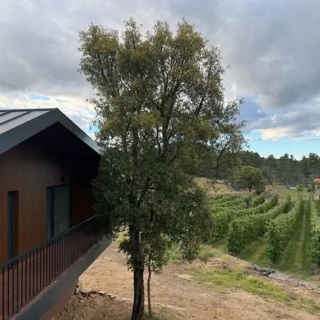 Quinta Da Cabrida - Casa Dos Senhores - Douro Villa
