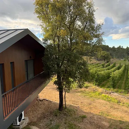 Quinta Da Cabrida - Casa Dos Senhores - Douro Villa