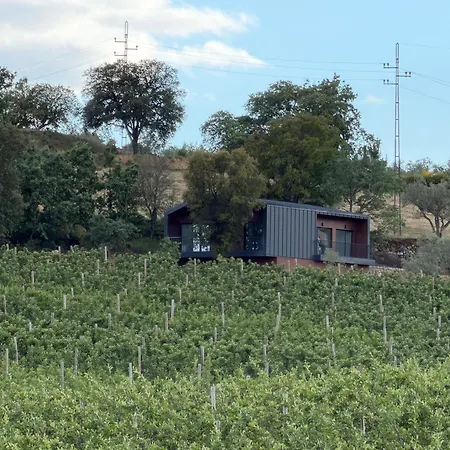 Villa Quinta Da Cabrida - Casa Dos Senhores - Douro