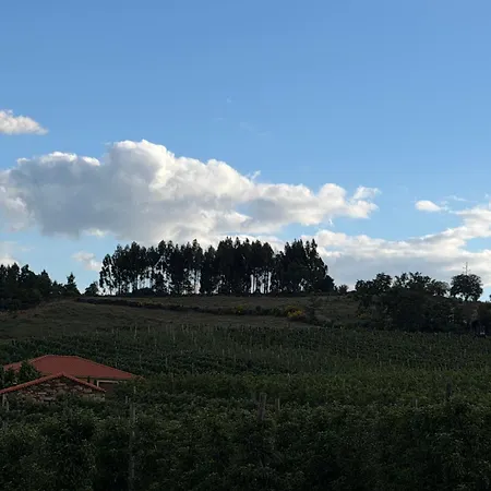 Quinta Da Cabrida - Casa Dos Senhores - Douro Villa Tabuaço