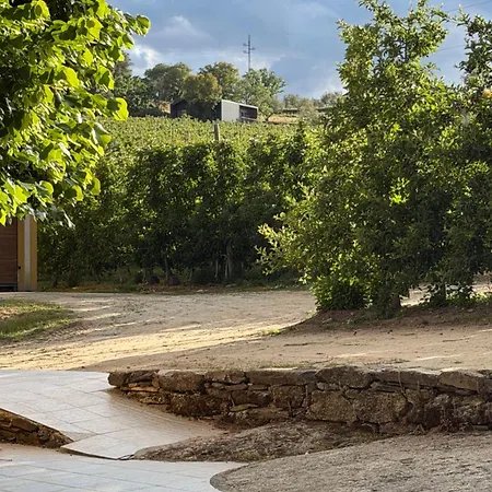 Quinta Da Cabrida - Casa Dos Senhores - Douro Villa Tabuaço