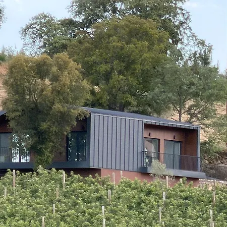 Villa Quinta Da Cabrida - Casa Dos Senhores - Douro