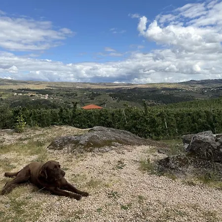 Quinta Da Cabrida - Casa Dos Senhores - Douro *
